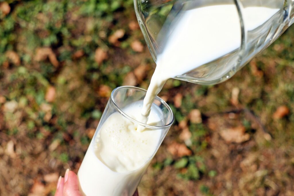Lépe využitelné jsou pro nás živočišné bílkoviny, které obsahuje např. mléko 